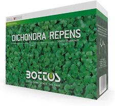 Bottos dicondra repens usato  Muro Lucano