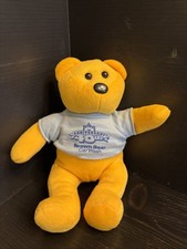wash car brown bear for sale  Puyallup