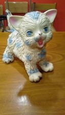 Gatto ledra rubber usato  Catania