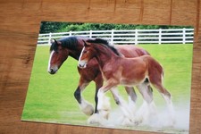 Pferdepostkarten pferde poster gebraucht kaufen Pferdepostkarten pferde poster gebraucht kaufen  Glan-Münchweiler-Umland