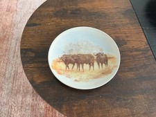 Poole pottery plate for sale  BARNOLDSWICK