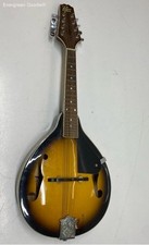 Rogue 100a mandolin for sale  Seattle