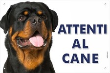 Rottweiler attenti cane usato  San Filippo del Mela