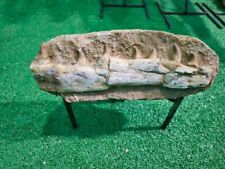 Usado, Autêntica mandíbula de mosasauro peróide jurássico do Marrocos depósitos fosfato fossilizado comprar usado  Enviando para Brazil