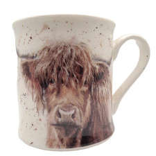 Scottish highland cow for sale  Hendersonville