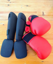 Box muay thai gebraucht kaufen  Gerolsheim, Großkarlbach, Laumersheim