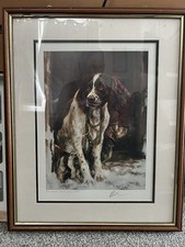 springer spaniel print for sale springer spaniel print for sale OKEHAMPTON