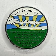 Promises alcoholics anonymous for sale  SUTTON COLDFIELD