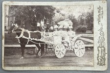 Foto antiga de armário de carroça desfile desenhada por cavalos White Hall da década de 1880, Illinois comprar usado  Enviando para Brazil
