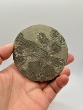 3.8 perfect round for sale  Sparta