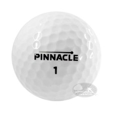 100 pinnacle mix usato  Ardea