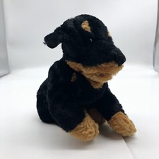 Rottweiler puppy dog for sale  Williams