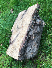 Large natural wood for sale  Easton