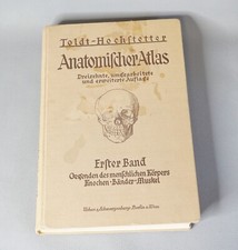 1927 Human Anatomy Atlas Skull Ferdinand Hochstetter Ilustrated Medicine Book comprar usado  Enviando para Brazil