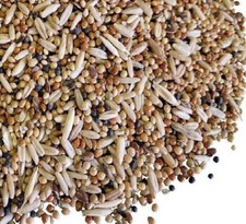 Budgie tonic food for sale  SITTINGBOURNE