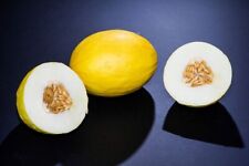 100 canary melon for sale  Bois D Arc