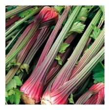 Celery red stalk for sale  SALISBURY