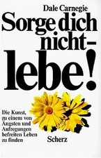 Sorge dich . gebraucht kaufen  Berlin