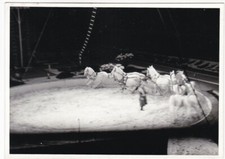 Fredy knie komischer gebraucht kaufen Fredy knie komischer gebraucht kaufen  Hemer