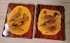Vintage pintail ducks for sale  Howey in the Hills