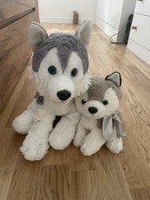 Soft touch husky for sale  NOTTINGHAM