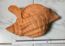 wandtopf gebraucht kaufen wandtopf gebraucht kaufen Hattersheim
