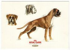 Künstler hunde boxer gebraucht kaufen  Backnang