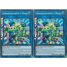 Zenmaintenimento molla super usato  Ravenna