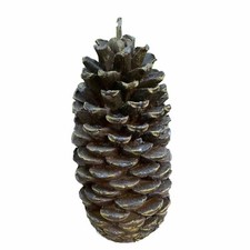 Pinecone brown candle for sale  Charlotte