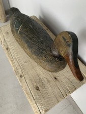 Old mallard hen for sale  Dillon