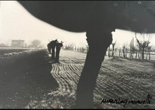 Mario giacomelli fotografia usato  Montepulciano