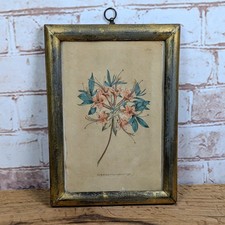 Antique 19c colour for sale Antique 19c colour for sale  ELY