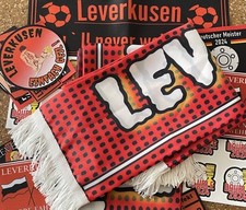 Leverkusen fan schals gebraucht kaufen  Allenfeld, Boos, Hargesheim