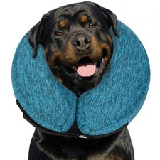 Extra large dog for sale  Raleigh