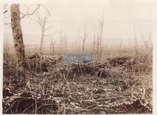 Foto haumont wald gebraucht kaufen  Deutschland