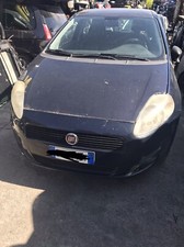 Musata grande punto usato  Treviso
