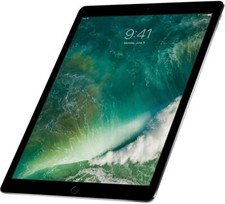 Apple ipad pro gebraucht kaufen  Eggolsheim