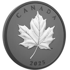 Kanada 2025 elegant gebraucht kaufen  Borgholzhausen