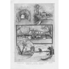 Twickenham views eel for sale  GLASGOW