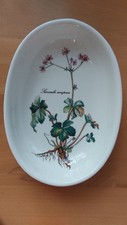 villeroy botanica gebraucht kaufen  Kleinblittersdorf