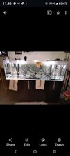 167 gallon water for sale  Darby