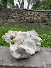 Aqarium rock fish for sale  LEICESTER