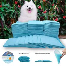 100 puppy training for sale  BOLTON