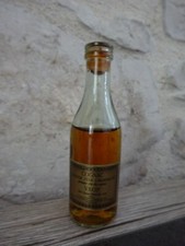 Mignonnette bouteille cognac d'occasion  Penne-d'Agenais