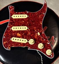Guitarworks custom stratocaste d'occasion  Expédié en Belgium