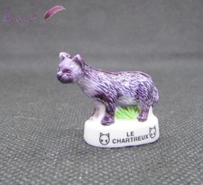 Feve races chat d'occasion  Expédié en Belgium