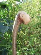 Hand crafted hazel for sale  PETERBOROUGH