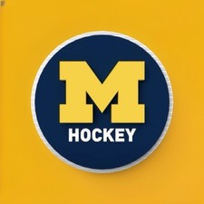 2018 university michigan usato  Spedire a Italy