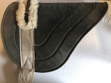 Champion brand deluxe for sale  Deming