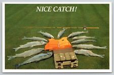 Michigan lakes trout for sale  Smiths Station